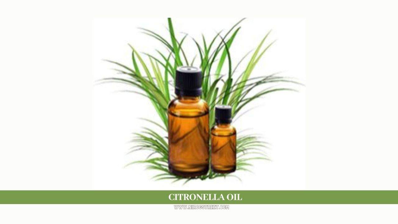 Citronella oil Health Benefits, Uses, Dosage and Side Effects